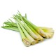 LEMON GRASS